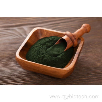 Pure Vulgaris Chlorella Powder / Chlorella Extract Powder